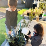 記念樹植樹の様子