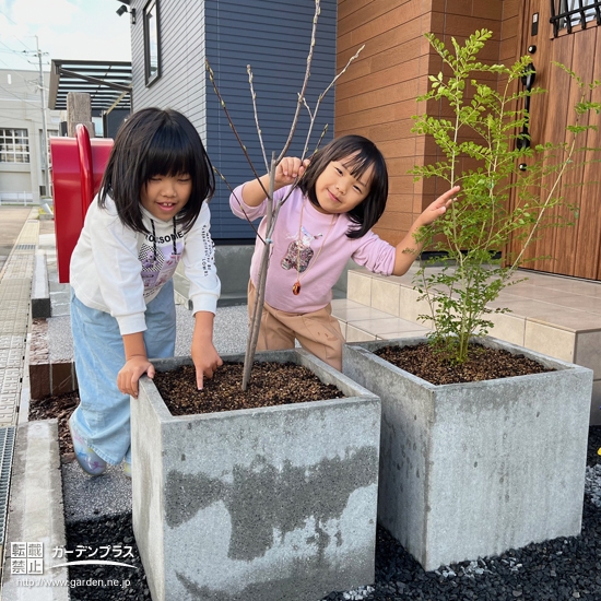 記念樹と記念撮影②