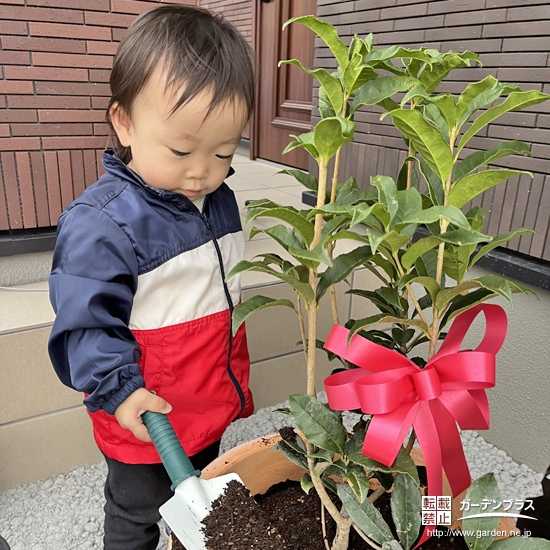 記念樹植樹の様子