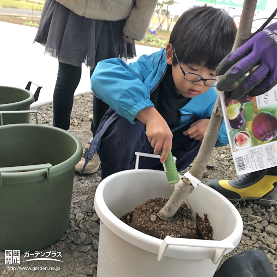 記念樹植樹の様子