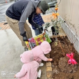 記念樹植樹の様子②