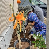 記念樹植樹の様子③