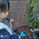 記念樹植樹の様子②