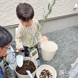 記念樹植樹の様子