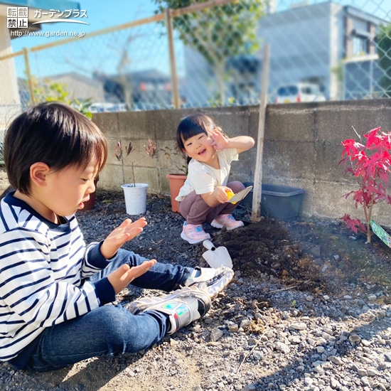 記念樹植樹の様子