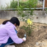 記念樹植樹の様子