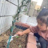 記念樹植樹の様子