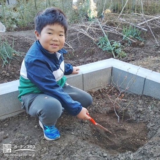 記念樹植樹の様子①