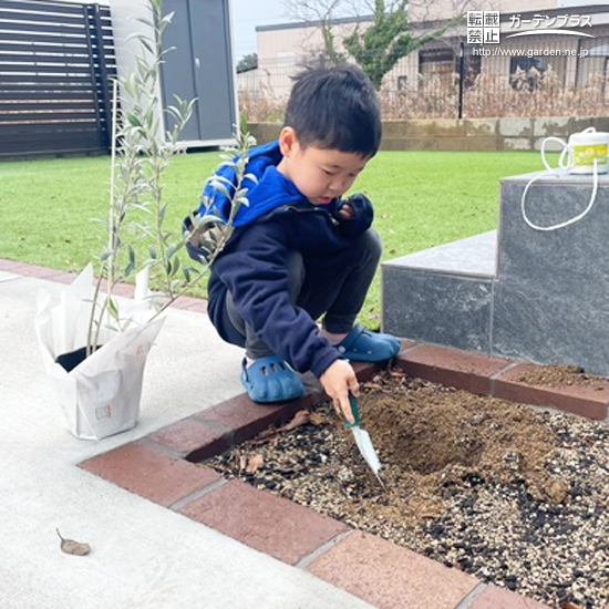 記念樹植樹の様子