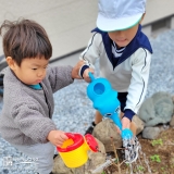 記念樹植樹の様子