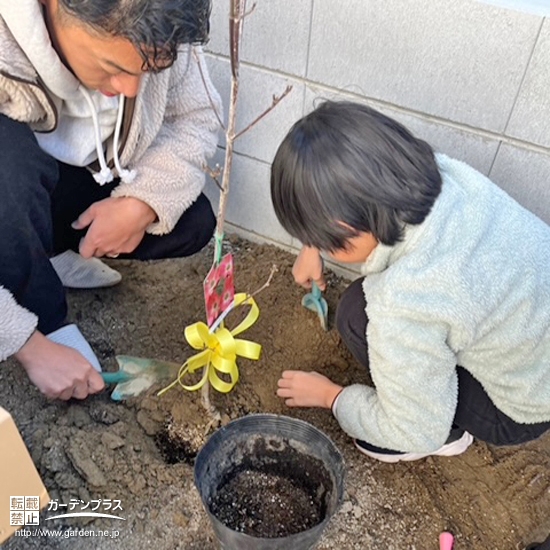 記念樹植樹の様子②