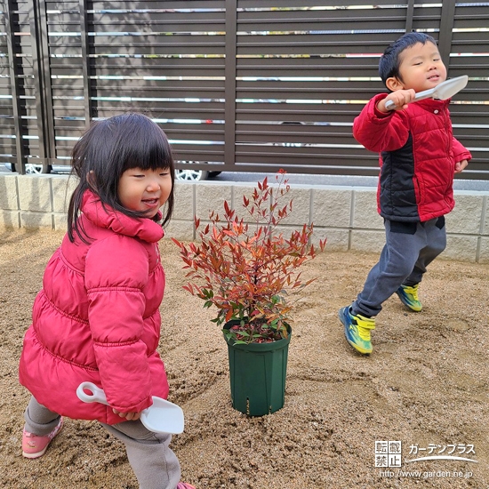 記念樹植樹の様子