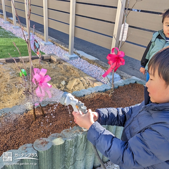 記念樹植樹の様子③