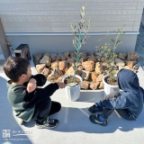 記念樹植樹の様子