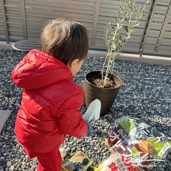 記念樹植樹の様子