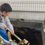 記念樹植樹の様子