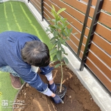 記念樹植樹の様子