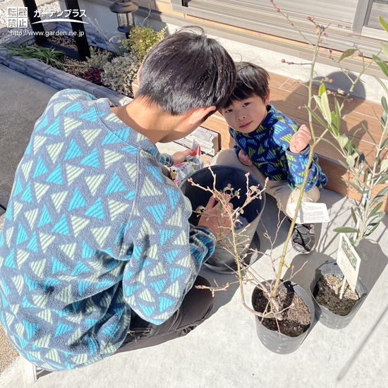 記念樹植樹の様子