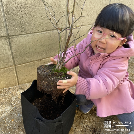 記念樹植樹の様子