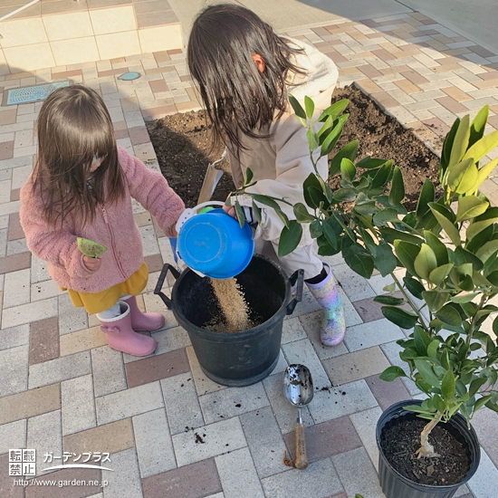 記念樹植樹の様子