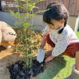 記念樹植樹の様子①