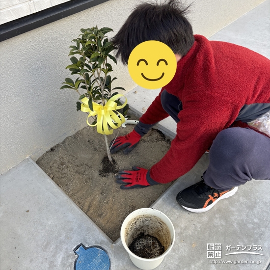 記念樹植樹の様子