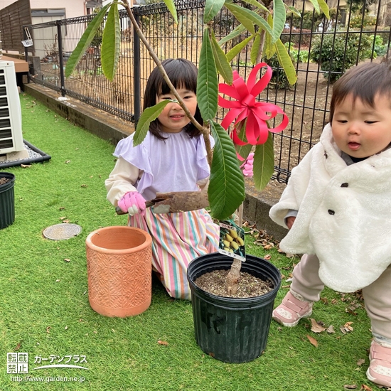 記念樹植樹の様子