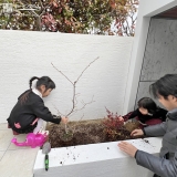 記念樹植樹の様子①