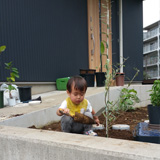 千葉県船橋市オリーブの植樹風景