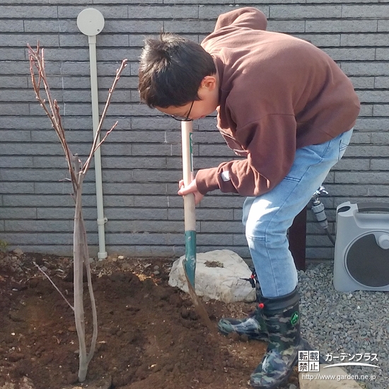 記念樹植樹の様子