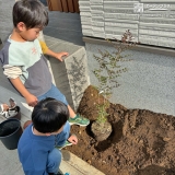 記念樹植樹の様子