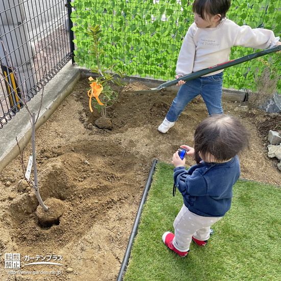 記念樹植樹の様子①