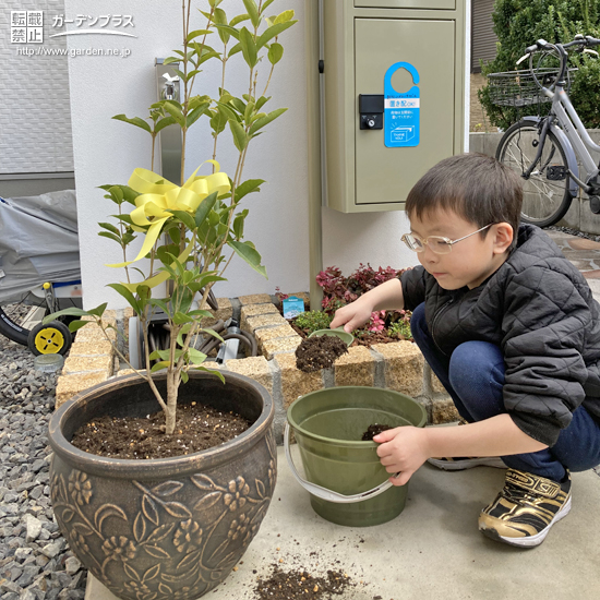 記念樹植樹の様子