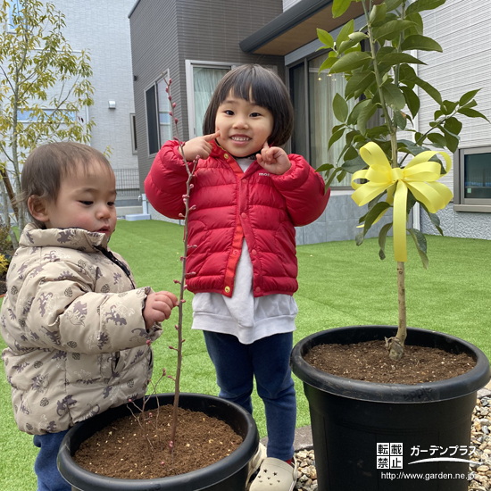 記念樹と記念撮影