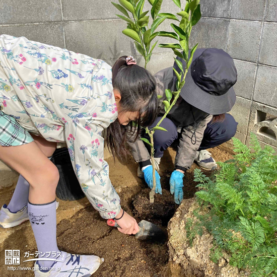 記念樹植樹の様子