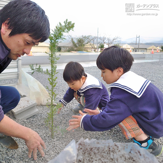 記念樹植樹の様子①