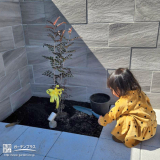 記念樹植樹の様子