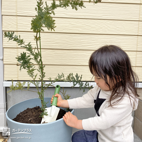 記念樹植樹の様子