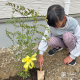 記念樹植樹の様子