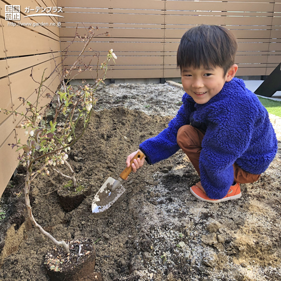 記念樹植樹の様子