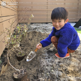 記念樹植樹の様子