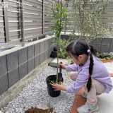 記念樹植樹の様子①