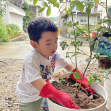 記念樹植樹の様子