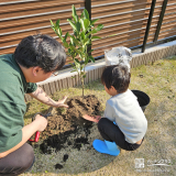 記念樹植樹の様子