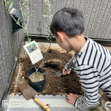 記念樹植樹の様子①