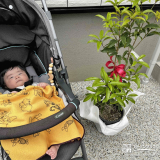 記念樹と記念撮影