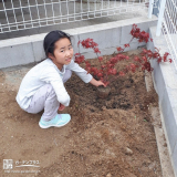 記念樹植樹の様子②