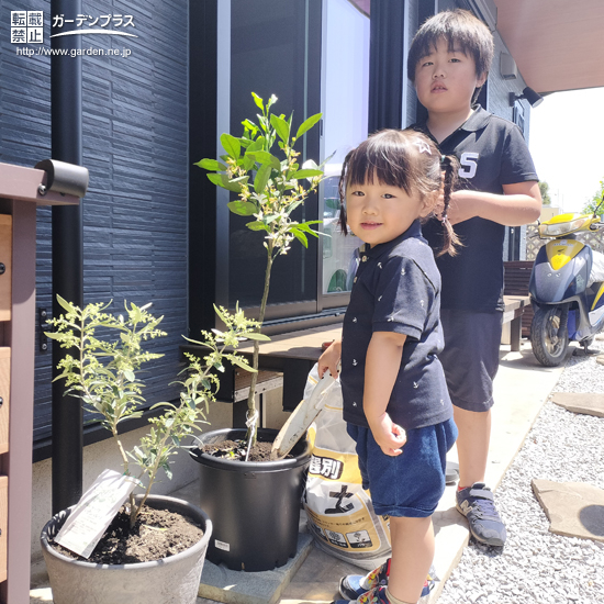 記念樹と記念撮影