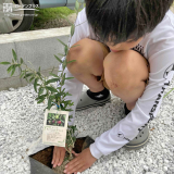 記念樹植樹の様子