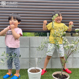 記念樹と記念撮影